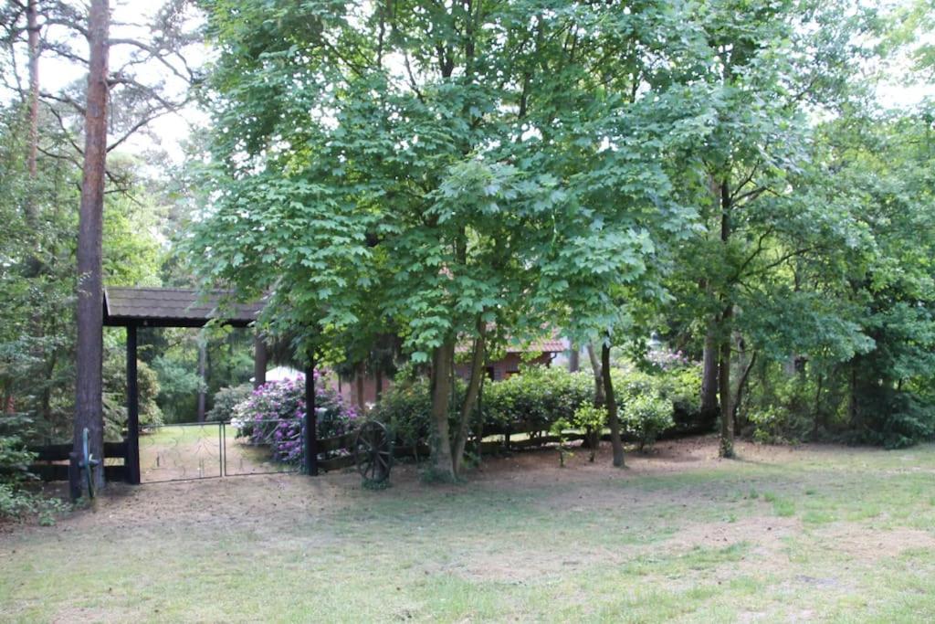 Ferienhaus Am Waldesrand Hatten Exteriör bild