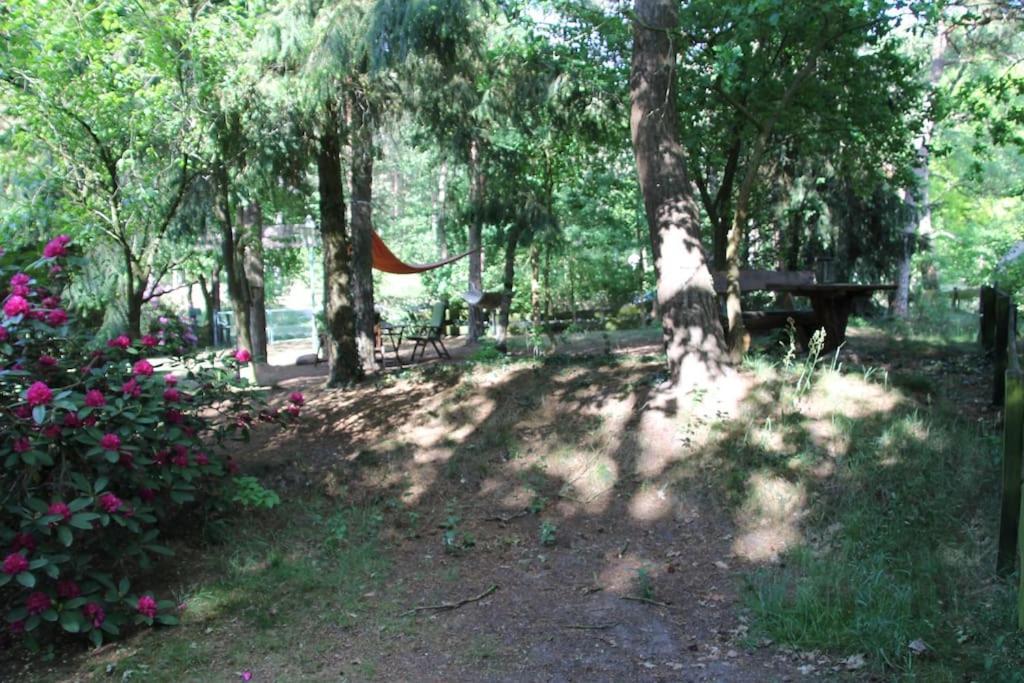 Ferienhaus Am Waldesrand Hatten Exteriör bild