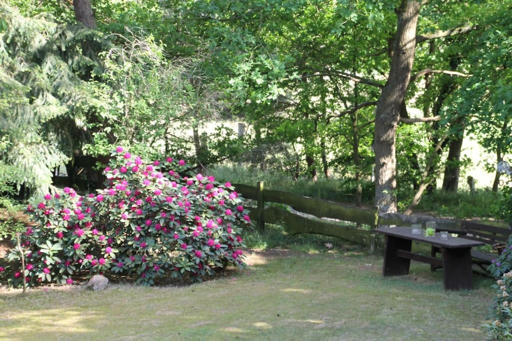 Ferienhaus Am Waldesrand Hatten Exteriör bild