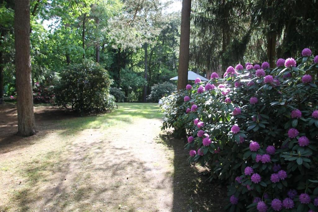 Ferienhaus Am Waldesrand Hatten Exteriör bild