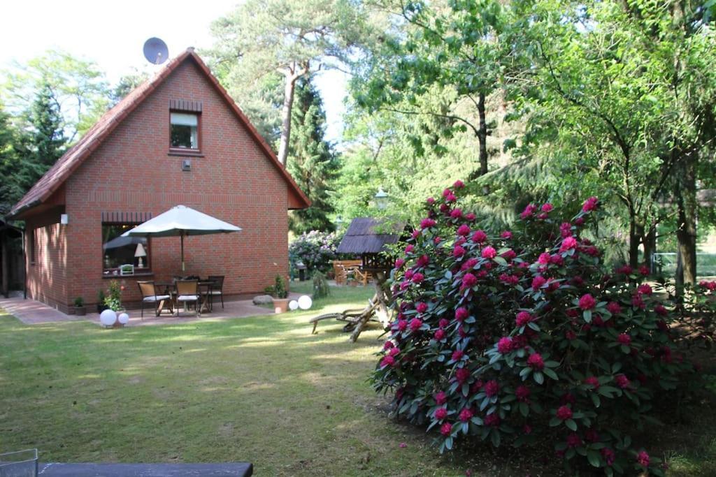 Ferienhaus Am Waldesrand Hatten Exteriör bild